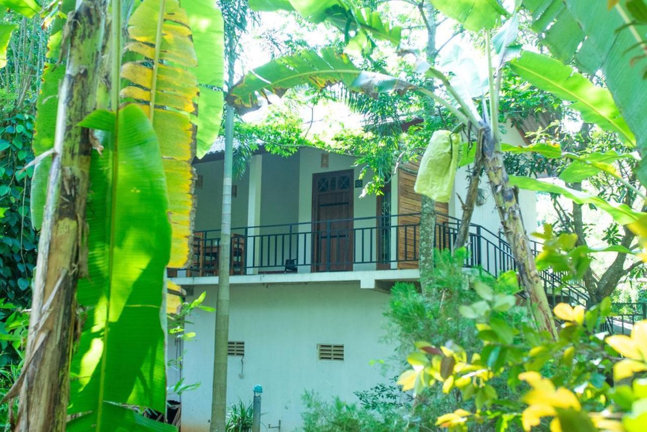 Wild Heaven Udawalawe Hotel Eksteriør billede