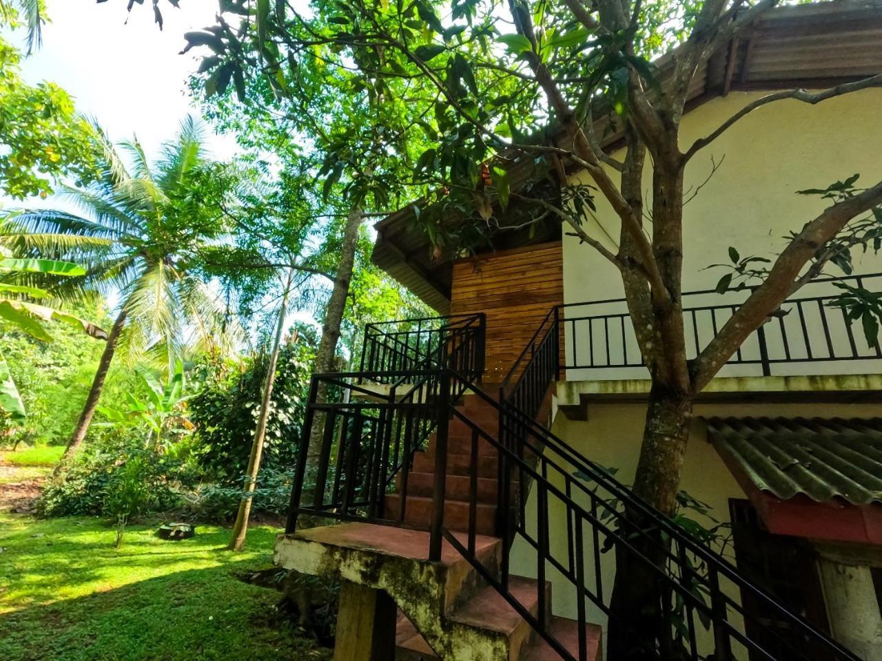 Wild Heaven Udawalawe Hotel Eksteriør billede
