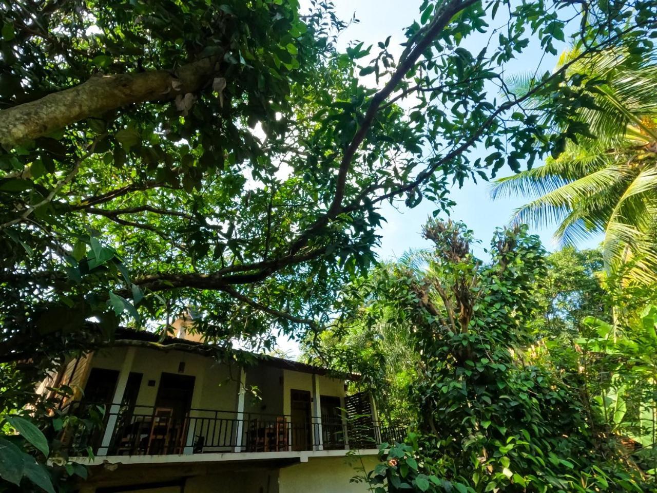 Wild Heaven Udawalawe Hotel Eksteriør billede