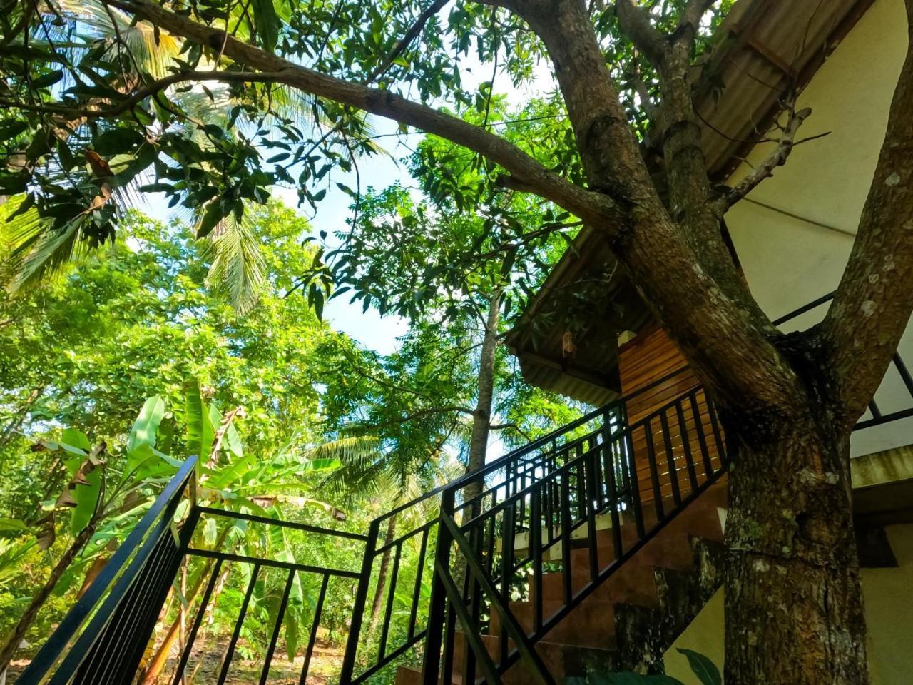Wild Heaven Udawalawe Hotel Eksteriør billede