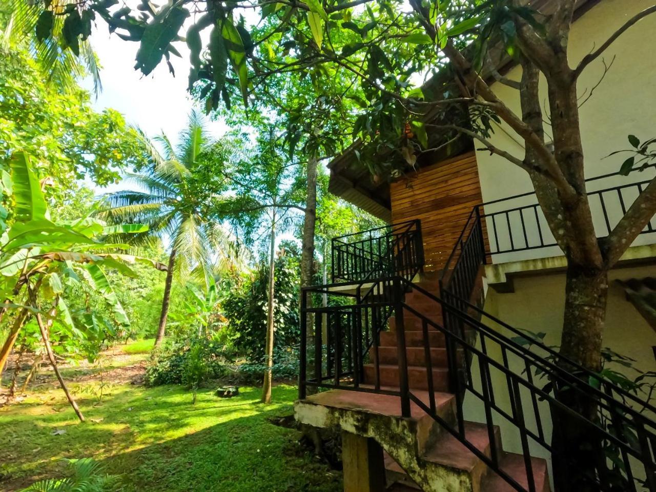 Wild Heaven Udawalawe Hotel Eksteriør billede