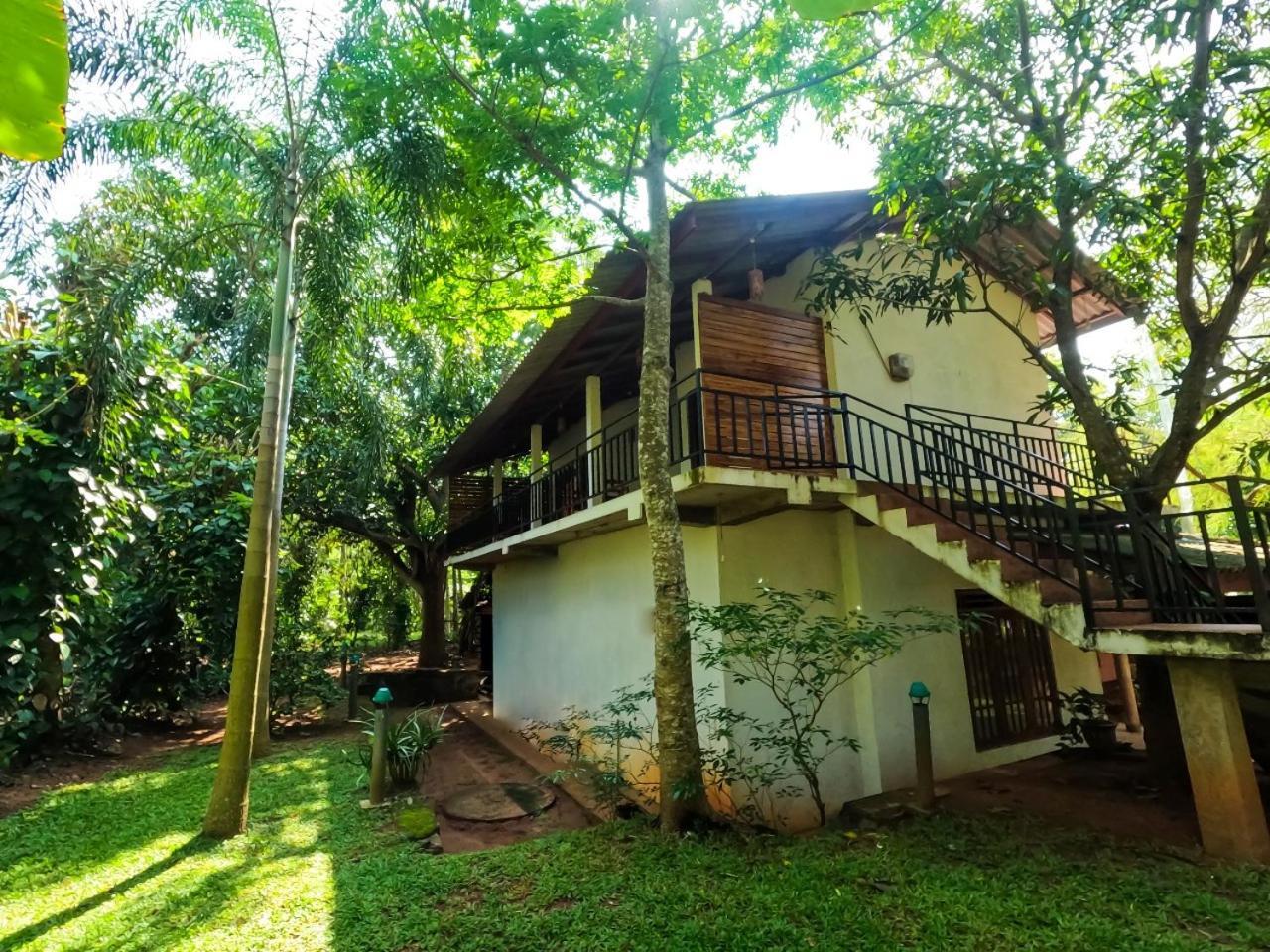 Wild Heaven Udawalawe Hotel Eksteriør billede