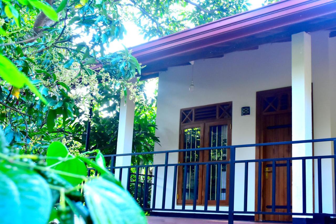 Wild Heaven Udawalawe Hotel Eksteriør billede